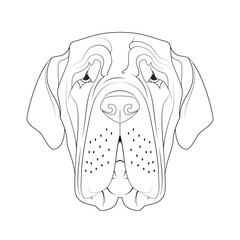 Neapolitan Mastiff dog easy coloring cartoon vector illustration. Isolated on white background