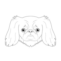 Pekingese dog easy coloring cartoon vector illustration. Isolated on white background