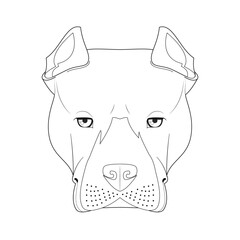 Pitbull or American Staffordshire dog easy coloring cartoon vector illustration. Isolated on white background