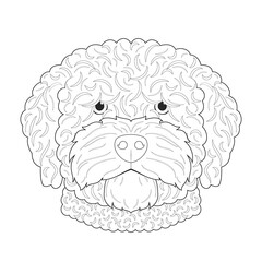 Spanish Water dog easy coloring cartoon vector illustration. Isolated on white background