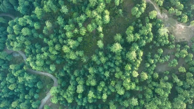 4K Drone Footage, Aerial view of Patriata Murree, Lush Green Pine Trees Forest Landscape and Patriata Chairlift, New Murree, Punjab, Pakistan, 4K Forest Videos, 
