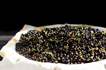 Ripe currants are on a tray