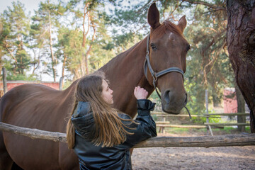 Cute girl feeding her horse in paddock