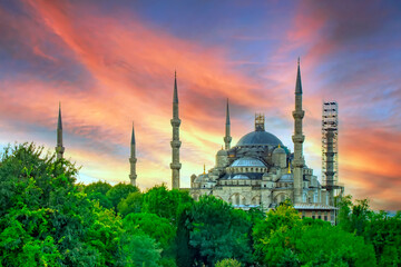 The Blue Mosque, (Sultanahmet Camii) with yellow tulips, Istanbul, Turkey.