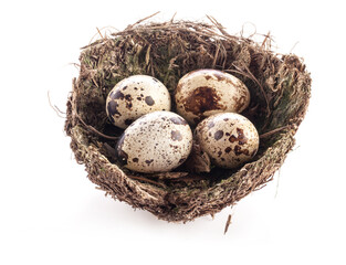 Naklejka na ściany i meble Bird nest with eggs isolated on white background