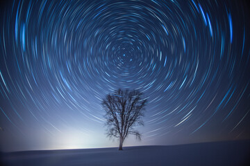 冬の北海道の星空 哲学の木
