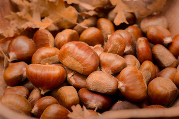 deliciously sweet italian chestnuts