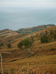 Single trail hiking path along the beautiful coast of Jaizkibel, Basque Country