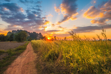 Sunset Meadow, travel around Noen Maprang, Phitsanulok, Thailand
