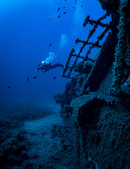 Nasello Shipwreck, Calagonone, Sardinia, Mediterranean Sea