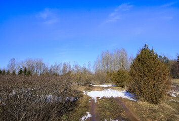 Winter rural landscape