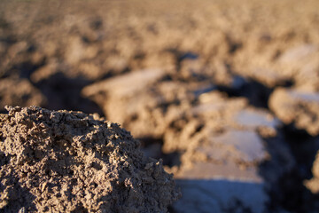 Close up of freshly plowed earth on the ground. pattern. Copy space.