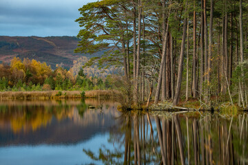Loch Mallachie, Scotland
