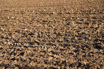 plowed field in the field