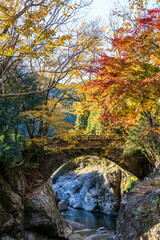 魔林狭の紅葉
