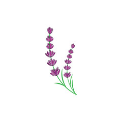 Lavender Logo Template vector symbol