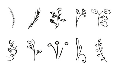 Doodle simple vector collection of 10 hand-drawn floral elements. Big collection of 10 hand-drawn branches. Big floral botanical set. Isolated on white background.