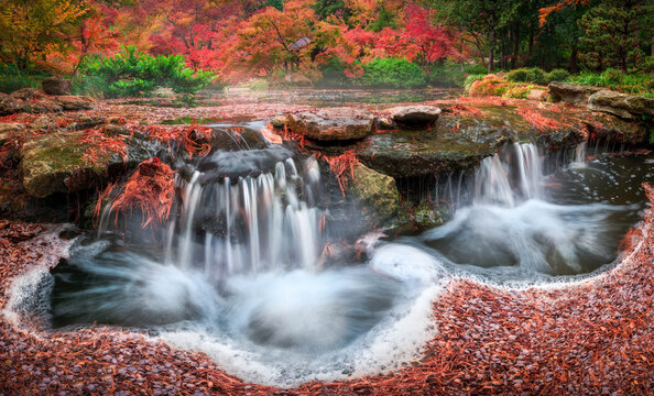 Fall Foliage and a Flowing Stream in the Japanese Garden