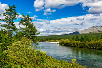 Fototapeta na wymiar north river in a forest area in the subpolar urals