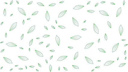 white background with green leaves
