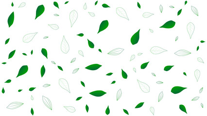 white background with green leaves