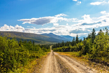 dirt road through a coniferous forest to the mountains