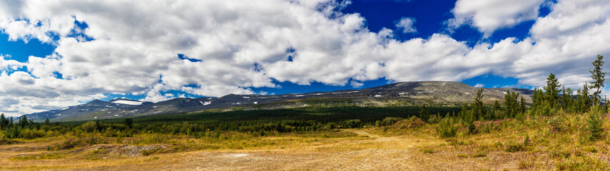 Fototapeta premium dirt road through a coniferous forest to the mountains