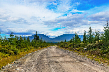 Fototapeta na wymiar dirt road through a coniferous forest to the mountains