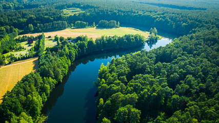 River and green forests at sunrise in summer