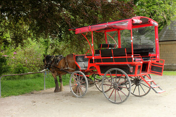 calèche et cheval