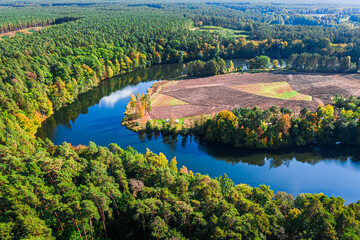 Blue river and colorful autumn forest in Poland, aerial view
