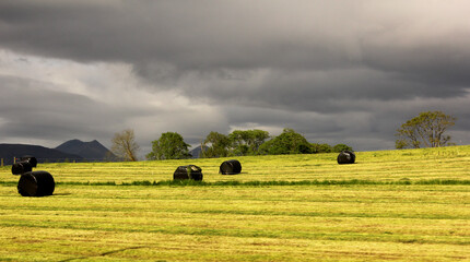 champ sous l orage