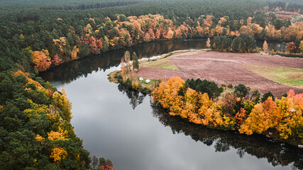 Winding river and yellow autumn forest, aerial view