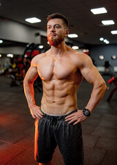 Fototapeta na wymiar Portrait of a handsome halfnacked bodybuilder man standing at gym background. Man looking straight.