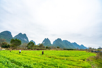Naklejka premium Mountains and farmland in Guilin, Guangxi Province, China