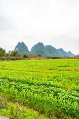 Fototapeta na wymiar Mountains and farmland in Guilin, Guangxi Province, China