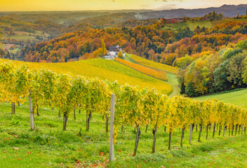 Autumn landscape with South Styria vineyards,known as Austrian Tuscany,a charming region on the...
