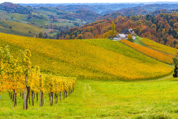 Autumn landscape with South Styria vineyards, known as Austrian Tuscany, a charming region on the border between Austria and Slovenia with rolling hills, picturesque villages and wine taverns