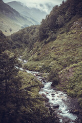Beautiful rocky creek in the Caucasus mountains forest