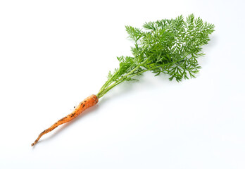 Carrots placed on a white background