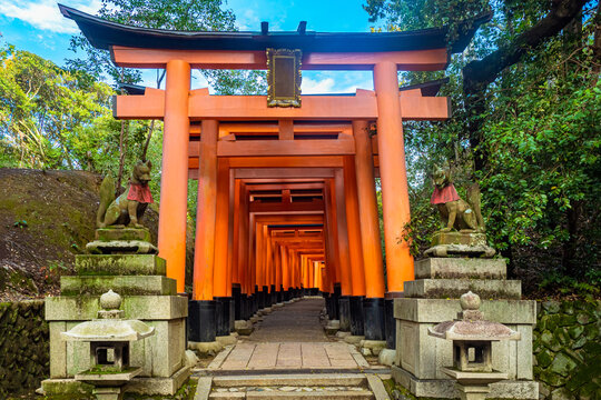 Japan. Entrance to the gate of Fushimi Inari Temple. Fushimi Inari Taisha. Mythological foxes on pedestals. Temple complex on mount Inariyama. The temple of the thousand gates. Mythology Of Japan.