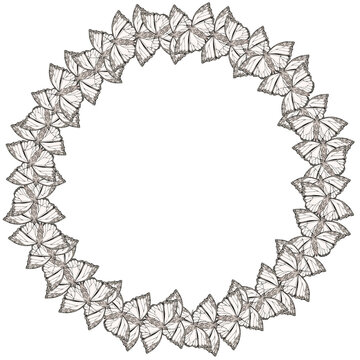 Frame made out of butterflies