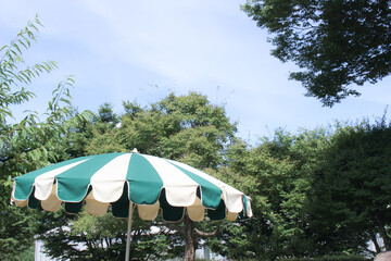 夏の公園のパラソル