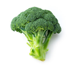 Broccoli placed on a white background