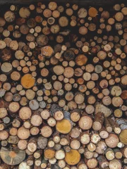 Möbelaufkleber stack of firewood © Oleg