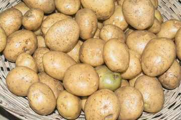 Pile of fresh organic potatoes in a wicker basket.