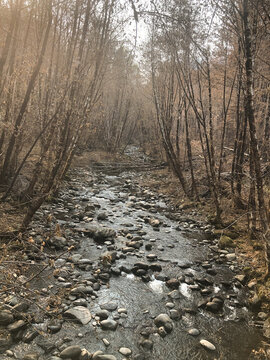 stream creek in burned mountain area