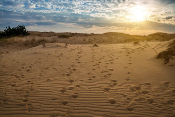 Beautiful desert landscape with dunes. Walk on a sunny day on the sands.