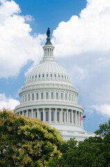 Obraz premium United States Capitol Building - Washington D.C. United States of America