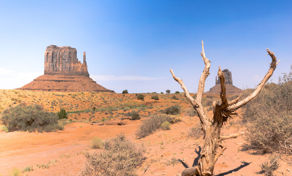 The desert in the Monument Valley Parck